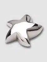 STAR BRIGHT MINI KEEPSAKE : Price : 5.00