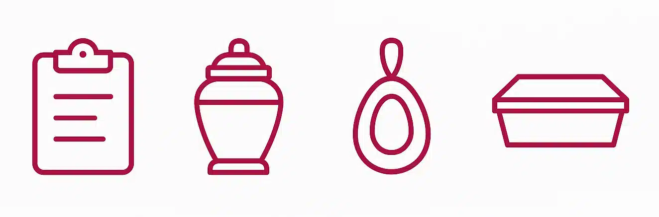 Continue to Add Optional Services